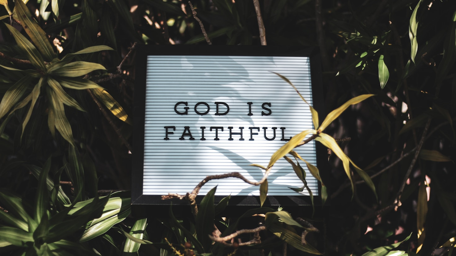 Peace in Troubled Times: Lessons from Faith