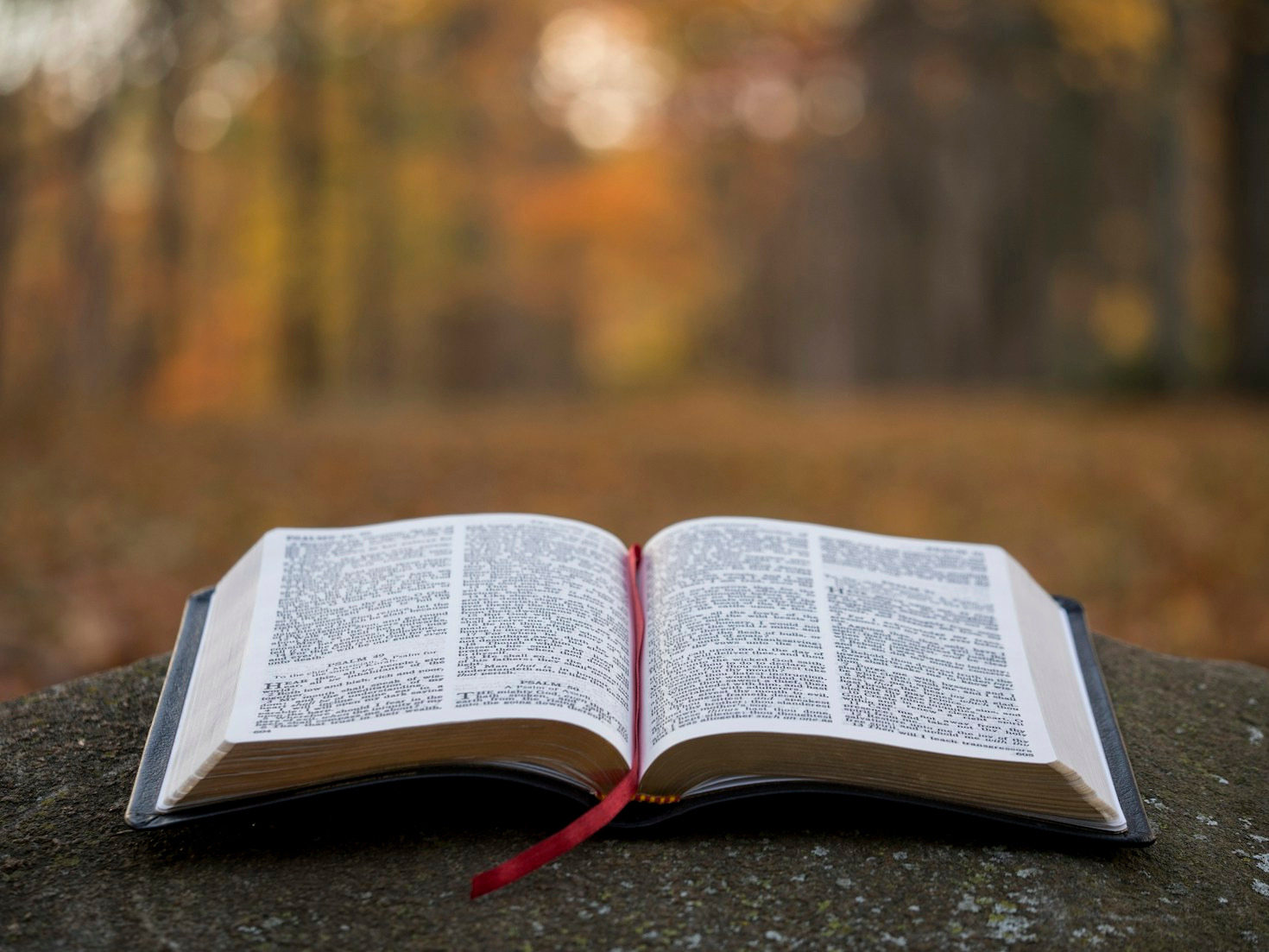 The Role of Community in Healing and Hope